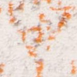 cream/orange