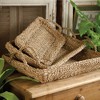 Plum & Post Seagrass Trays With Handles, Set Of 3 - 2 of 4