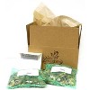 Van Zyverden Set of 25 Daffodils Bulbs Classic Improved King Alfred - 3 of 3