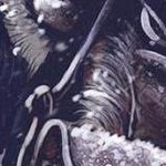 clear push pins bundle