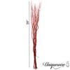 Uniquewise Natural Decorative Dry Branches Authentic Willow Sticks for Home Decoration and Wedding Craft - 4 of 4