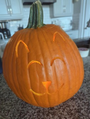 Guest review image 1 of 2, zoom in