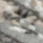 black, charcoal, cream, gray, tan, dark red