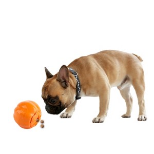 Allforpaws Happy Halloween Dog Toy Treat Or Trick Dog Dispenser - 1 of 4