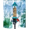 Brome 1024 Squirrel Buster Plus Bird Feeder and Pole Adapter Kit - 3 of 4