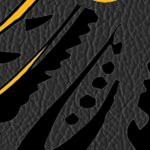 boston bruins