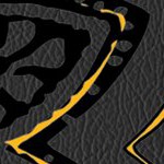 boston bruins