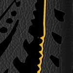 boston bruins