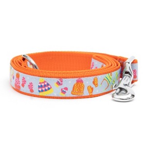 The Worthy Dog Brrr! Pet Leash - Blue - S - 1 of 3