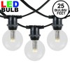Novelty Lights Globe Outdoor String Lights with 25 In-Line Sockets Black Wire 25 Feet - 2 of 4