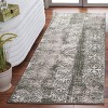 Adirondack ADR111 Non-Shedding Power Loomed Indoor Rugs - Safavieh - 2 of 4