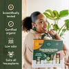 House Plant Care Essentials Kit - WE THE WILD - image 3 of 4