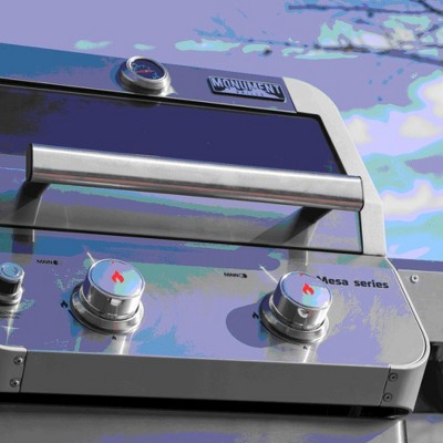 Mesa 2-Burner Stainless Steel Propane Gas Grill with LED Controls