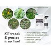 Energen Carolina Vinegar Organic Weed & Grass Killer, Glyphosate Free Herbicide, 1 Quart - 3 of 4