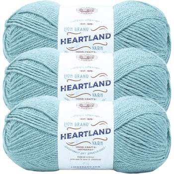 3 Pack) Lion Brand Wool-Ease Thick & Quick Yarn - Carousel
