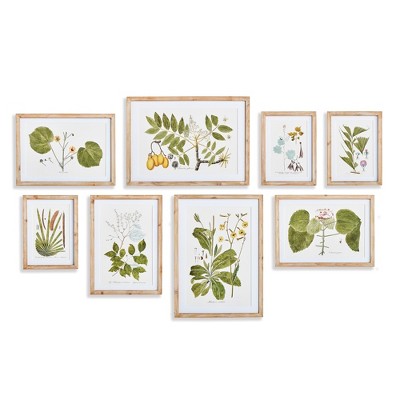 Plum & Post 16.5"W x 0.75"D x 23"H and 13.25 x 0.75 x 18.5 and 10.25 x 0.75 x 13.75 Flora And Fauna Gallery Prints Framed Wall Art Set of 8