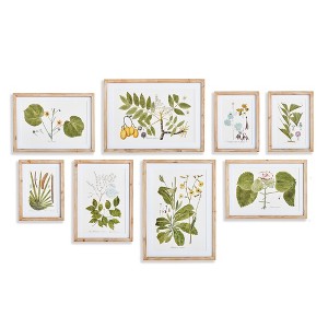 Plum & Post 16.5"W x 0.75"D x 23"H and 13.25 x 0.75 x 18.5 and 10.25 x 0.75 x 13.75 Flora And Fauna Gallery Prints Framed Wall Art Set of 8 - 1 of 3