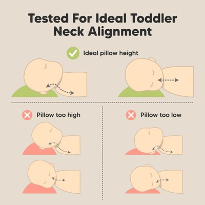 Soft White Organic Cotton Toddler Pillow with Pillowcase