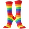 Rainbow Striped Pattern Socks from the Sock Panda (Men's Sizes Adult Large) - 3 of 3