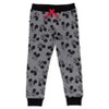 Disney Mickey Mouse Cars Lion King Toy Story 2 Pack Pants Toddler - 2 of 4