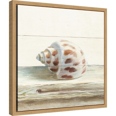 Driftwood Shell II 16'' Square Canvas Wall Art with Maple Frame