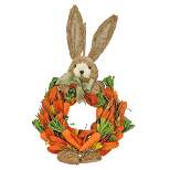National Tree Company 20" Artificial Hanging Wreath,  Easter Collection