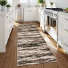 Acekool Washable Area Rug, Modern Non Slip Low Pile Soft Accent Carpet for Living Room Bedroom Dining, Stain-Resistant - 3 of 4