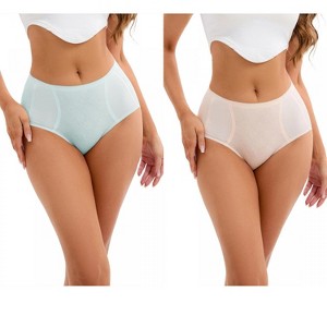 INSPIRE CHIC 2 Pcs Women's High-Waisted Underwear Briefs High Elastic Breathable Underpants - 1 of 4