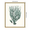 Amanti Art Antique Coastal Coral VIII by Johann Esper Framed Canvas Wall Art - 4 of 4