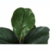 Artificial Plant, 49" Tall, Fiddle Tree, Indoor, Faux, Fake, Floor, Greenery, Potted, Real Touch, Decorative, Green Leaves, Black Pot - 4 of 4