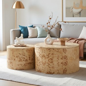 MDF Burl Veneer Round Nesting Coffee Table with Storage - 1 of 4