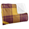 University Of Charleston Campus Plaid Spirit Silky Touch Super Soft Throw Blanket 50x60 - 3 of 4