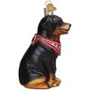 Old World Christmas Blown Glass Ornament for Christmas Tree, Rottweiler (with OWC Gift Box) - 4 of 4