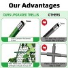 Cucumber Trellis 4x4FT Metal A-Frame Garden Trellis with Netting, Heavy-Duty Outdoor Climbing Plant Support – Green - 4 of 4