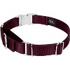 Country Brook Petz Heavyduty Nylon Martingale with Premium Buckle - 2 of 4