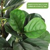 Acekool Artificial Fiddle Leaf Fig Tree, Realistic Ficus with Adjustable Leaves & Natural Trunk, Large Indoor Potted - 4 of 4