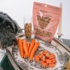 Dexypaws Salmon & Carrot Dog Biscuits 12oz - All Natural Pet Treats, Protein - 2 of 4