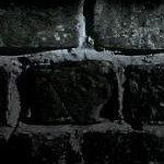 clear push pins bundle