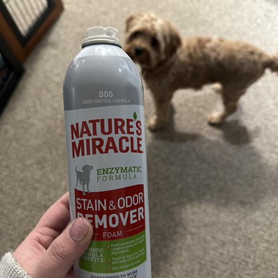 Miracle Foam - Drain Cleaner & Odor Eliminator - North Woods, An Envoy  Solutions Company