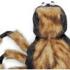 Zack & Zoey Fuzzy Tarantula Costume for Dogs - 3 of 4