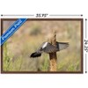 Trends International The Comedy Wildlife Photography Awards: Wendy Kaveney - That Wasn't Here Yesterday Framed Wall Poster Prints - 3 of 4