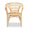 Varick Rattan Dining Chair Set Natural/brown - Bali & Pari : Target