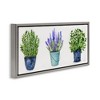 Stupell Industries Varied Potted Plants & Herbs, 25" x 11" - 3 of 4