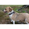 Country Brook Petz Deluxe Dog Collar - Christmas Collection - Made In The U.S.A. - 2 of 4