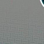 philadelphia eagles