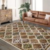 Boho Floral Area Rug , SoftFaux Wool Shag Rugs Farmhouse Washable Anti Slip Large Carpet Rug for Entryway Bedroom Living Room Hallway and Laundry Room - 3 of 4