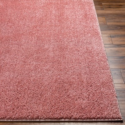 Richlawn Coral Pink Washable Synthetic Area Rug 2' x 3'