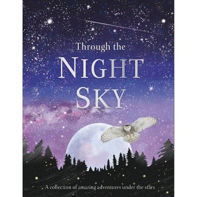 Through the Night Sky - (Through The...) by  DK (Hardcover)