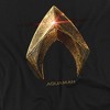 Boys' Short Sleeve Justice League Movie Aquaman Logo T-Shirt - 3 of 4