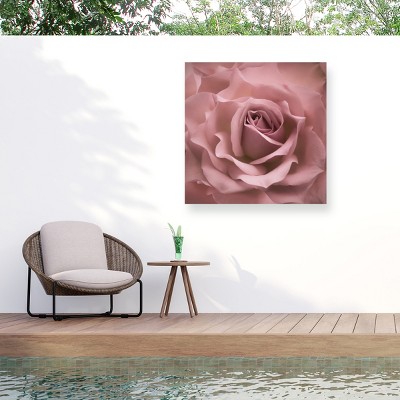 Trademark Fine Art - Cora Niele Misty Rose Pink Rose Matted Framed Art